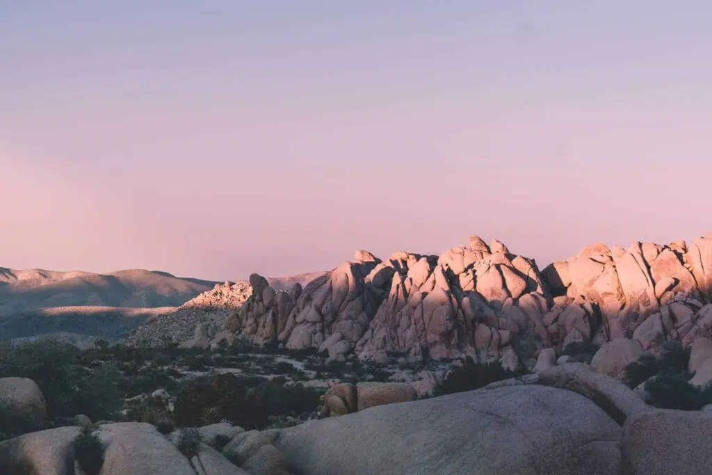 Joshua Tree at night