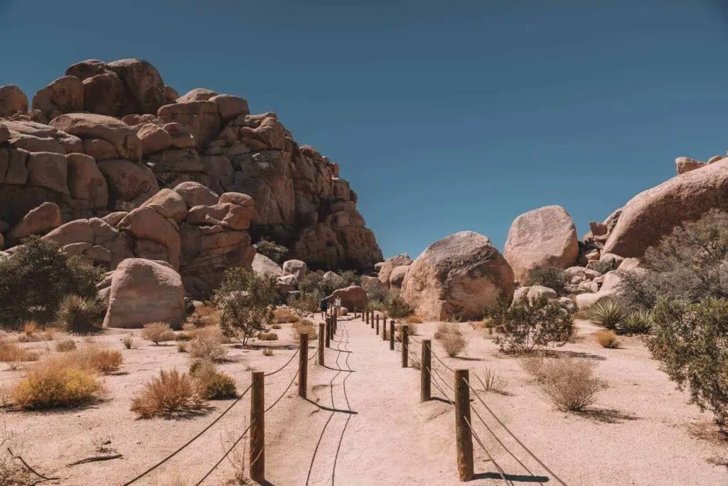 Best hikes in Joshua Tree National Park