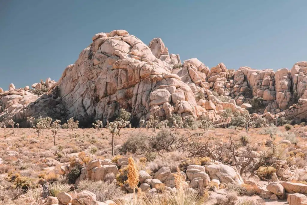 Hidden Valley Trail in Joshua Tree National Park