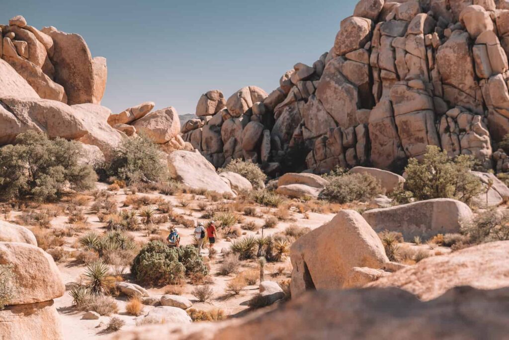 Best hikes in Joshua tree national park