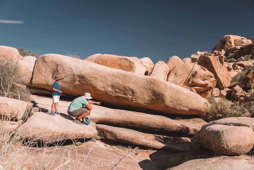 Visiting Joshua Tree with Kids