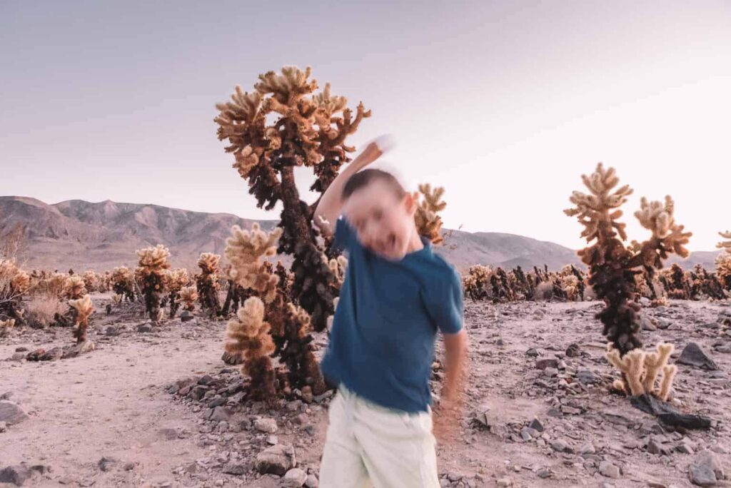 Joshua Tree with Kids