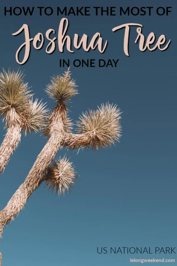 Discover the best of Joshua Tree National Park in just one day. Read about the best hikes in Joshua Tree, worthwhile stops on your itinerary, and what you'll need to explore this popular US National Park with kids! #Familytravel #USnationalparks #Joshuatree #california