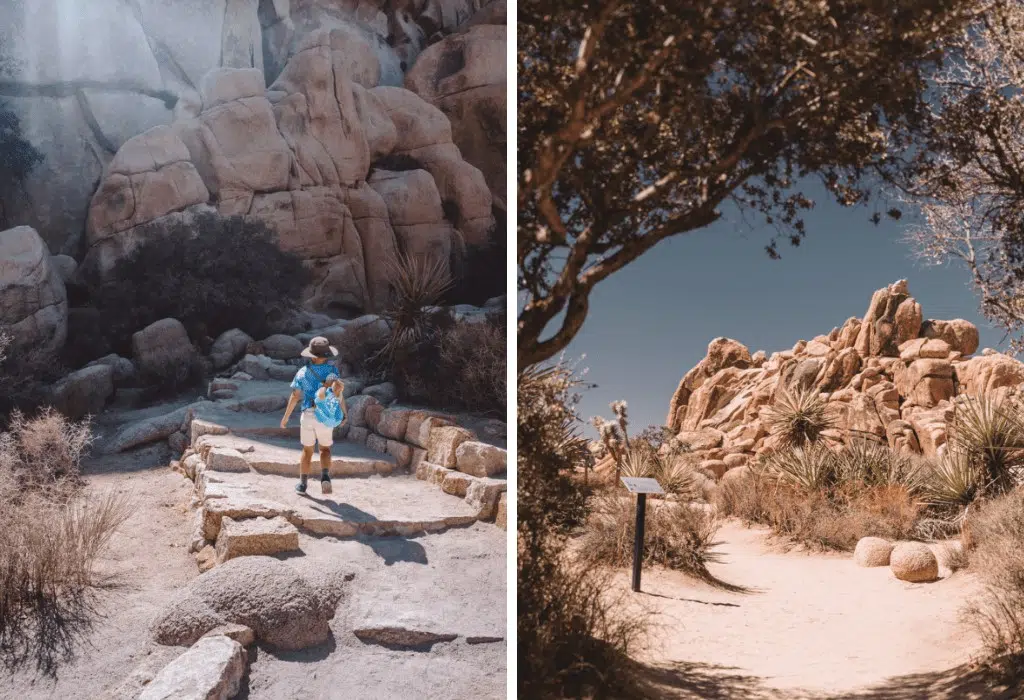 Joshua Tree with kids