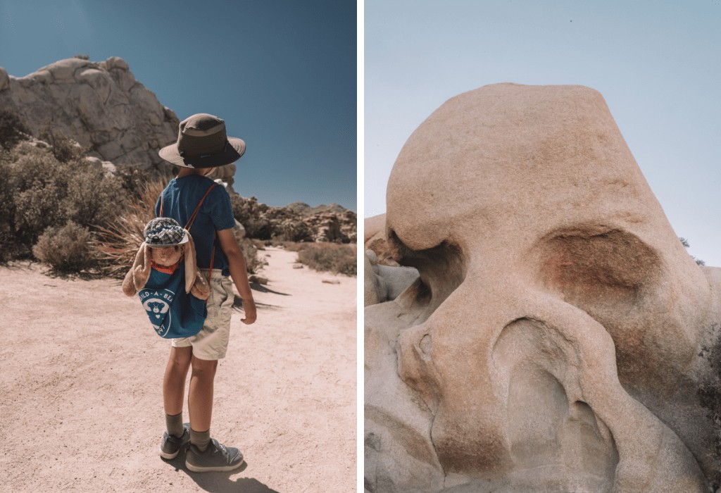 Skull Rock Walk, Joshua Tree National Park