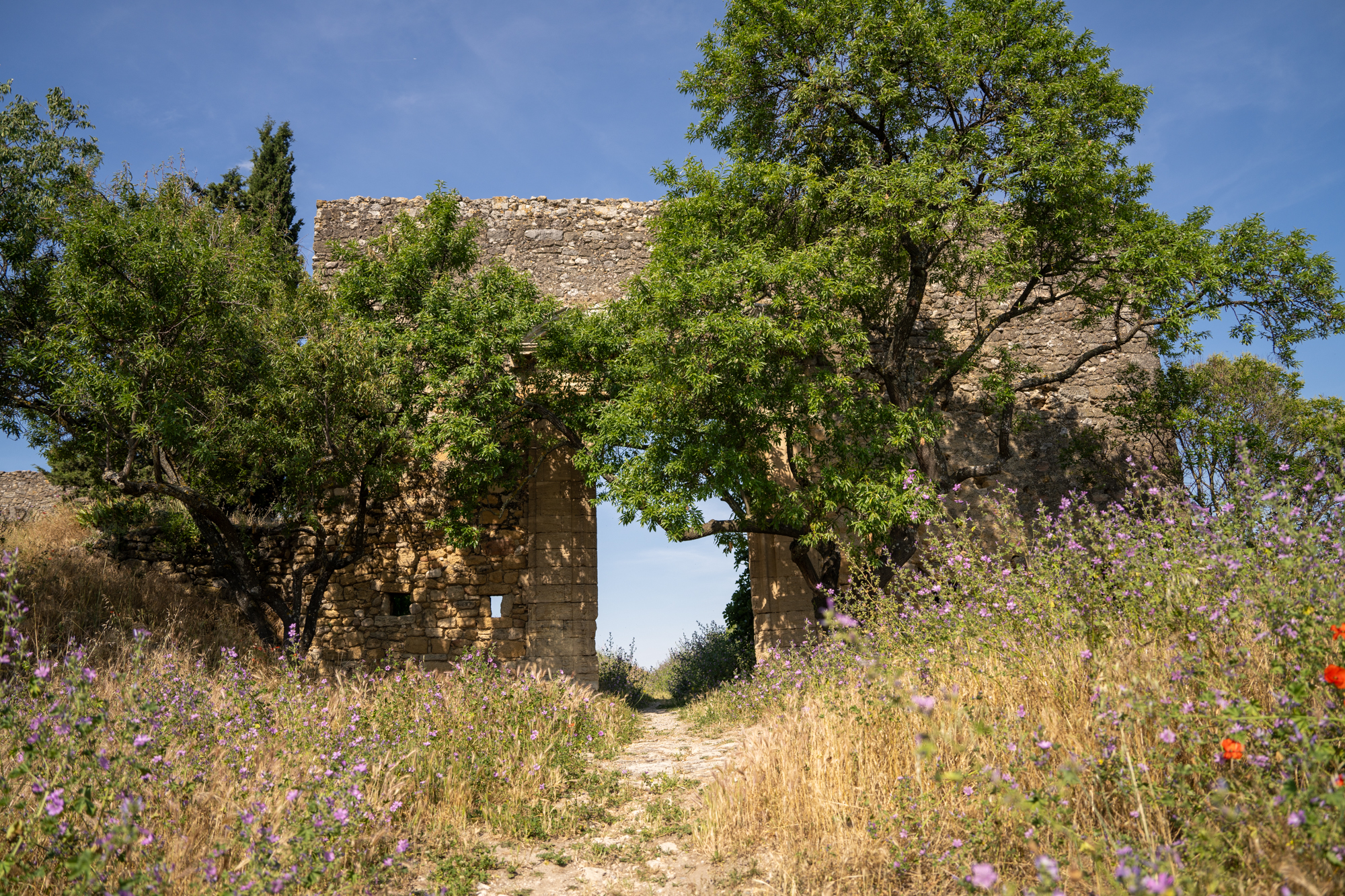 Secret Castles in Provence – 10 Hilltop Ruins with a Story to Tell