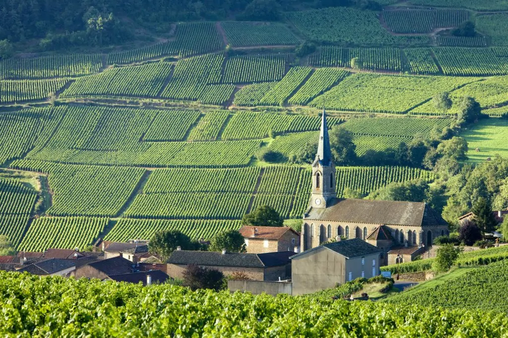 The Burgundy wine region should be on your bucket list for France!