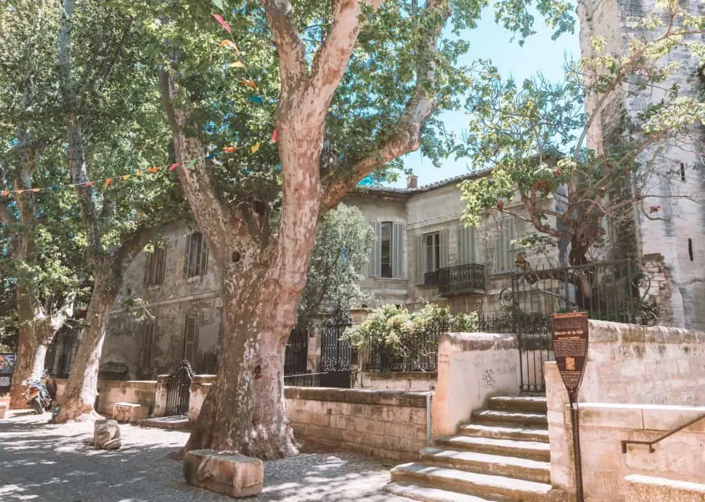 Rue des Teinturiers, Avignon, France