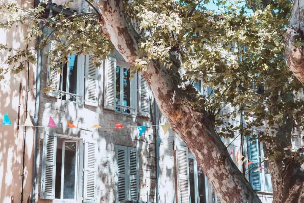 rue des Teinturiers, Avignon, France