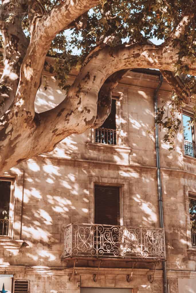 Beautiful buildings in Avignon, France