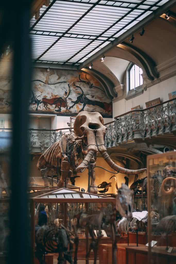 Natural History Museum Paris France