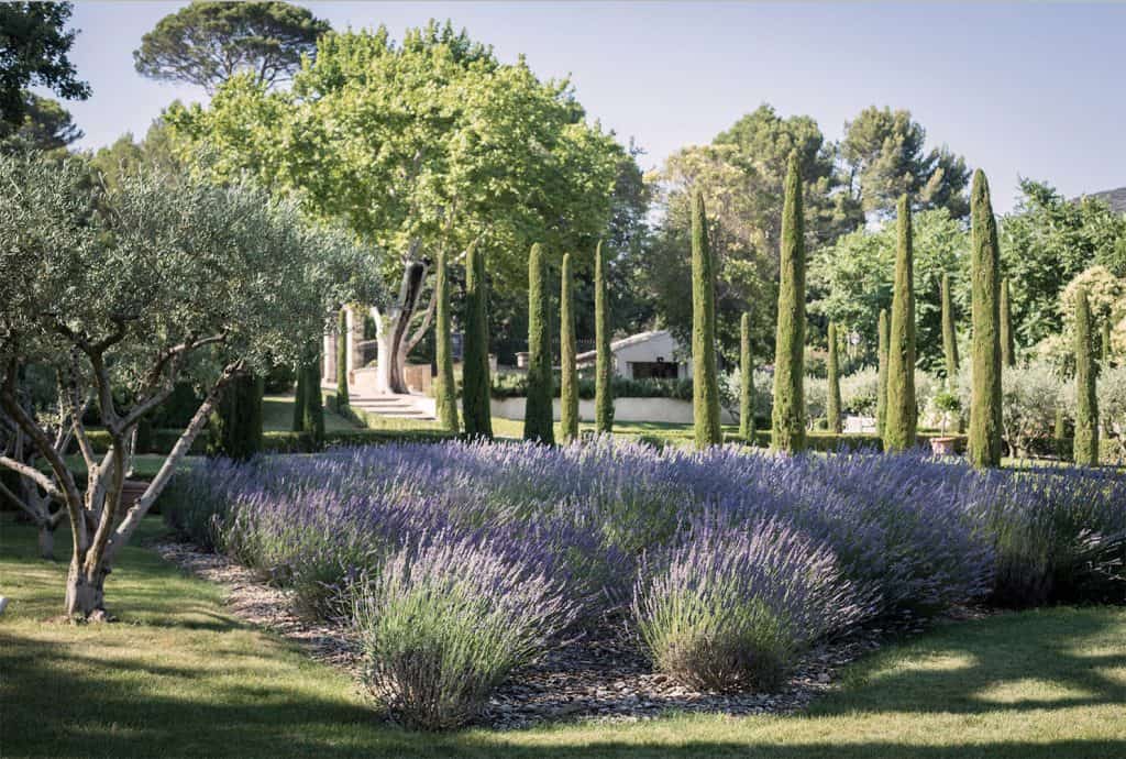 Domaine De Fontenille – Luxury Estate in the Luberon