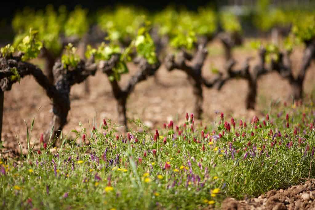 Domaine De Fontenille – Luxury Estate in the Luberon