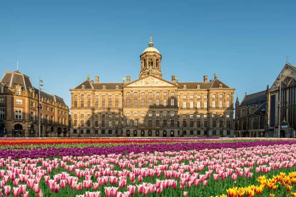 The National Tulip Day is celebrated in Amsterdam in January, making it one of the best times to visit this European city.