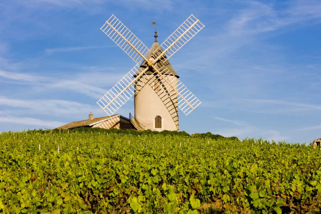 The ‘climats’ of Burgundy were recently named as a UNESCO World Heritage Site