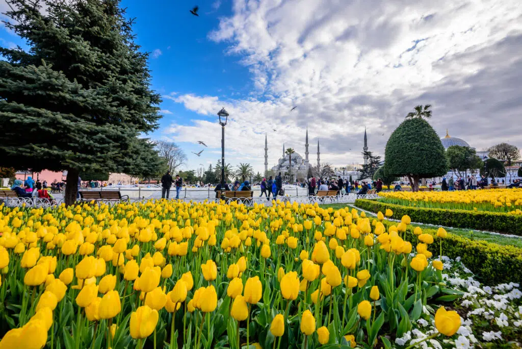 Istanbul is one of the best European cities to visit in April
