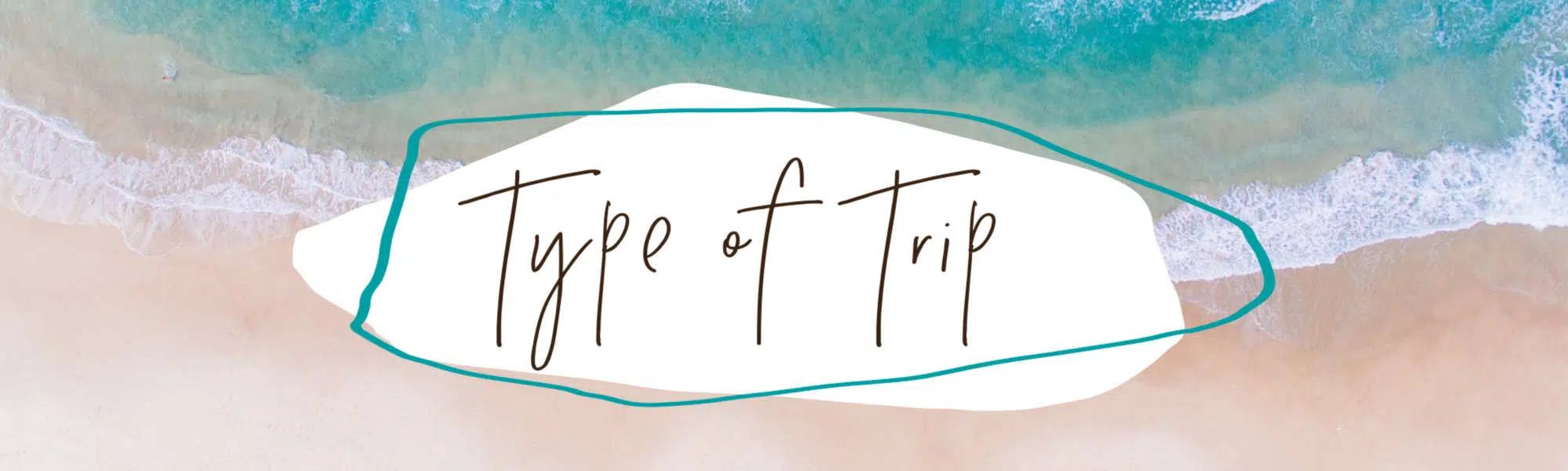 Type of trip