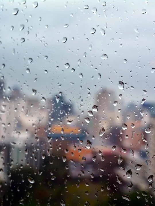 Best Indoor Activities in Auckland For a Rainy Day