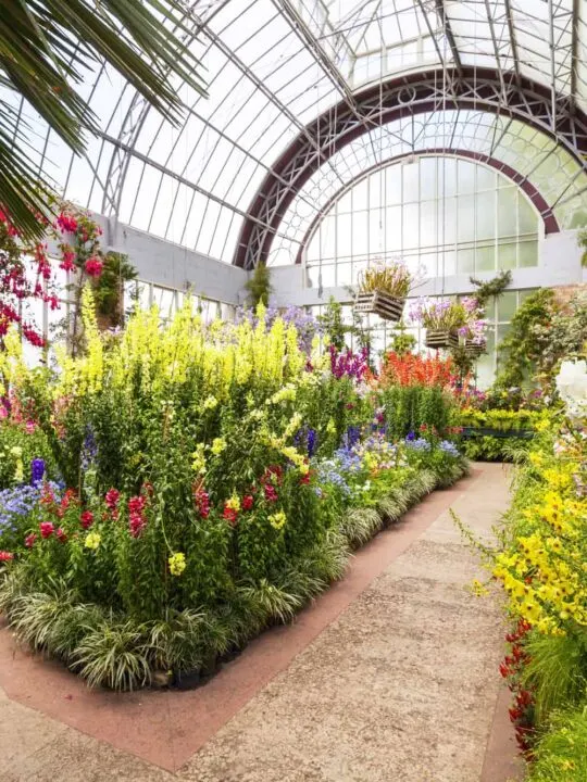 Free things to do in Auckland, New Zealand