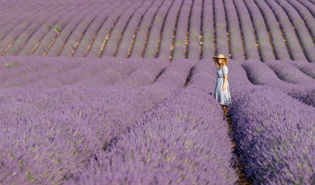 best time to visit lavender fields in provence