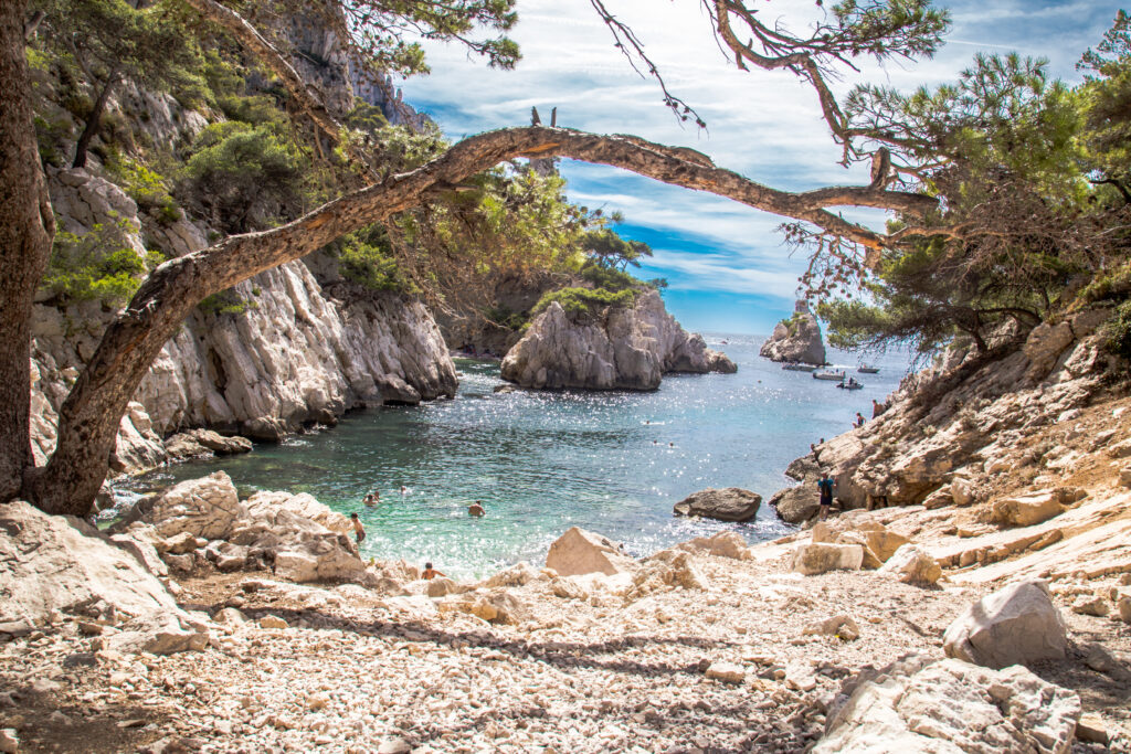 boat tour of the calanques