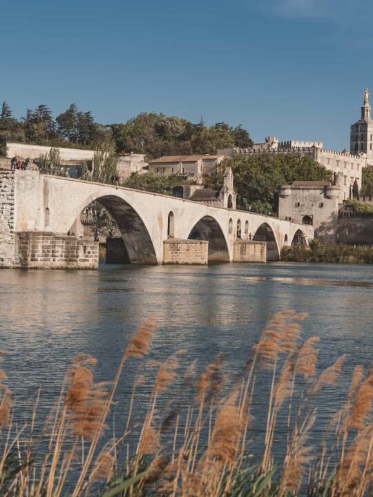 Best Airbnbs in Avignon