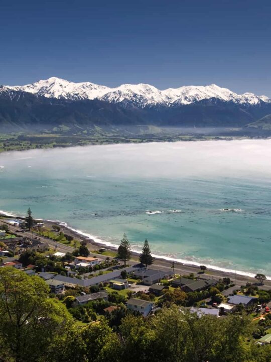 Free things to do in Kaikoura, New Zealand