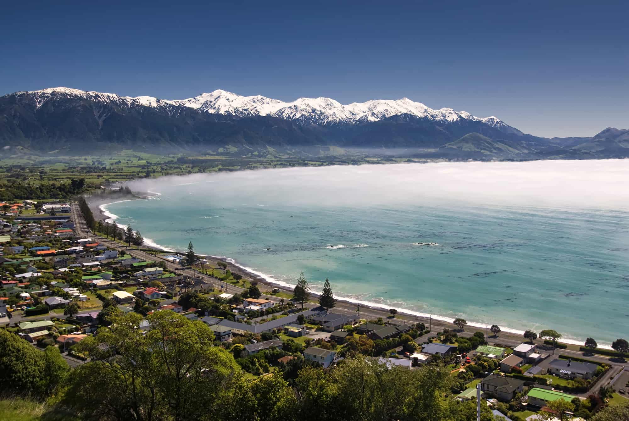 Free things to do in Kaikoura, New Zealand