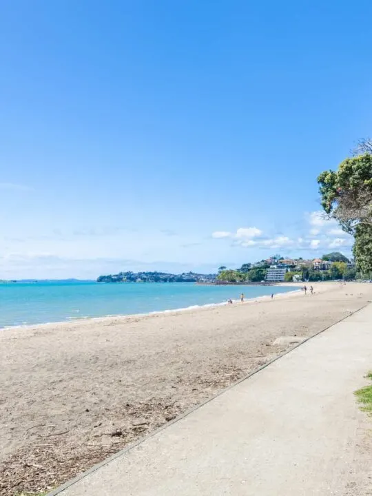 Best Beaches in Auckland New Zealand