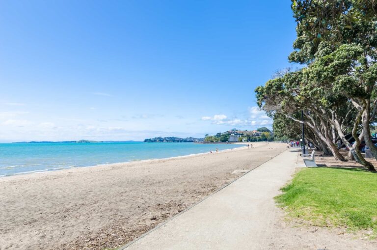 The Best Beaches in Auckland, New Zealand