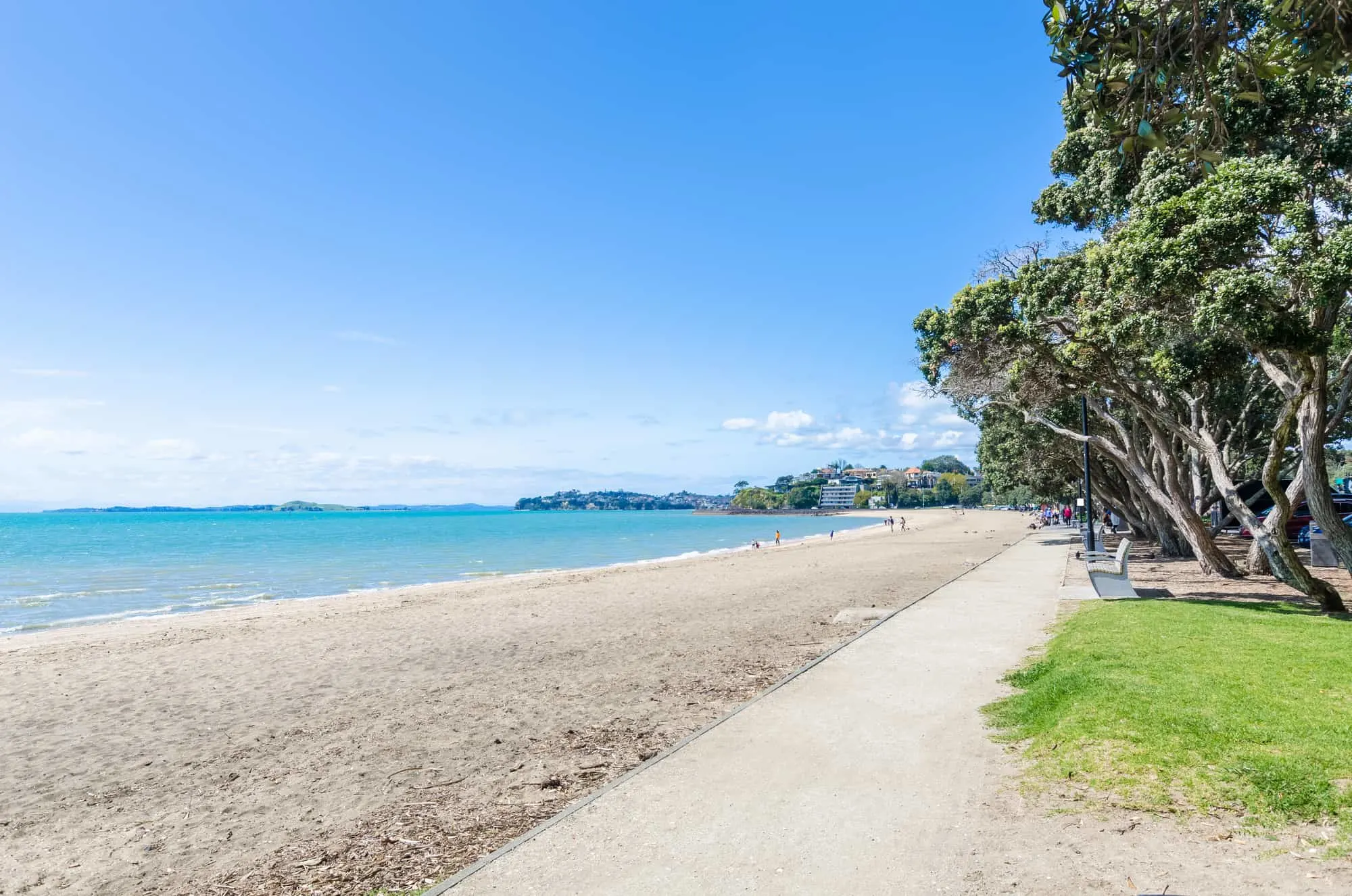 Best Beaches in Auckland New Zealand