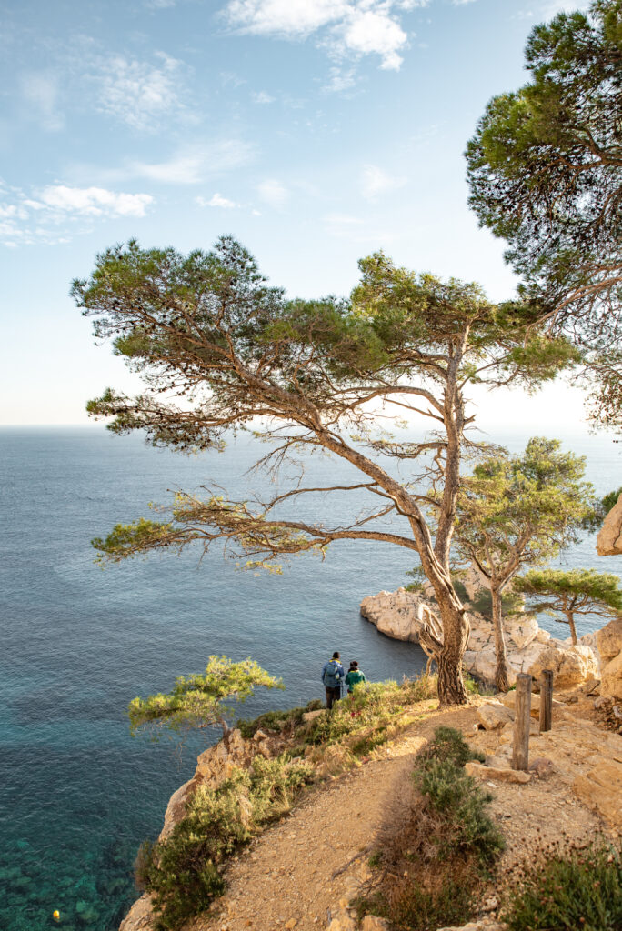 Calanques of Marseille