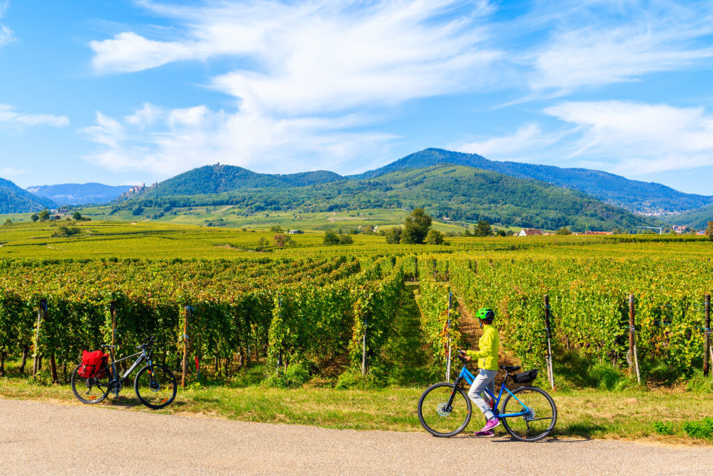 Alsace wine country