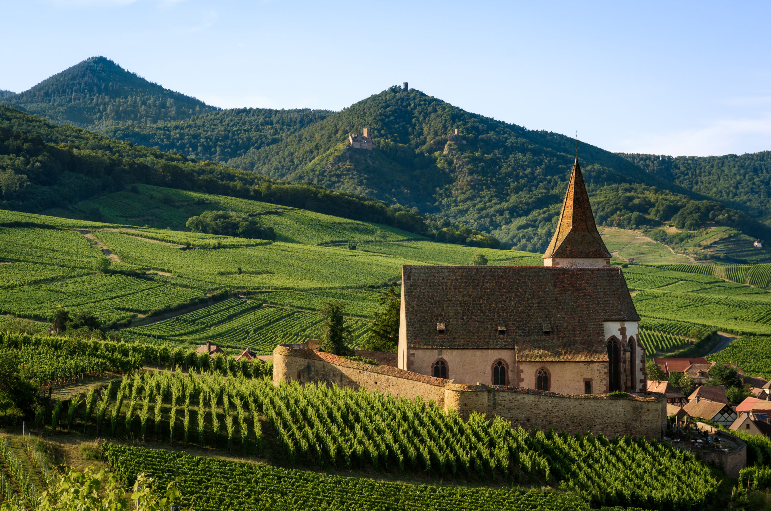 Wine regions in France