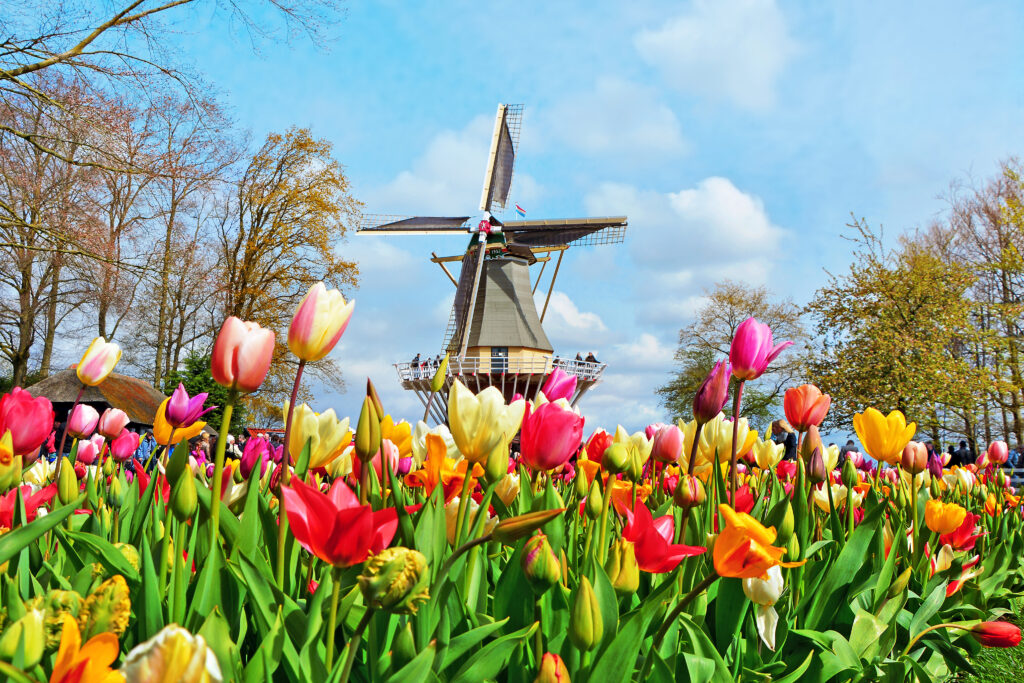 Enten wapenkamer inkt How to Visit Keukenhof Gardens & Lisse Tulip Fields, Netherlands (2022)