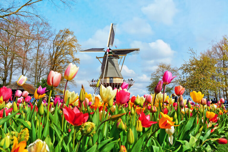 Visiting Keukenhof Tulip Gardens, Holland, Netherlands