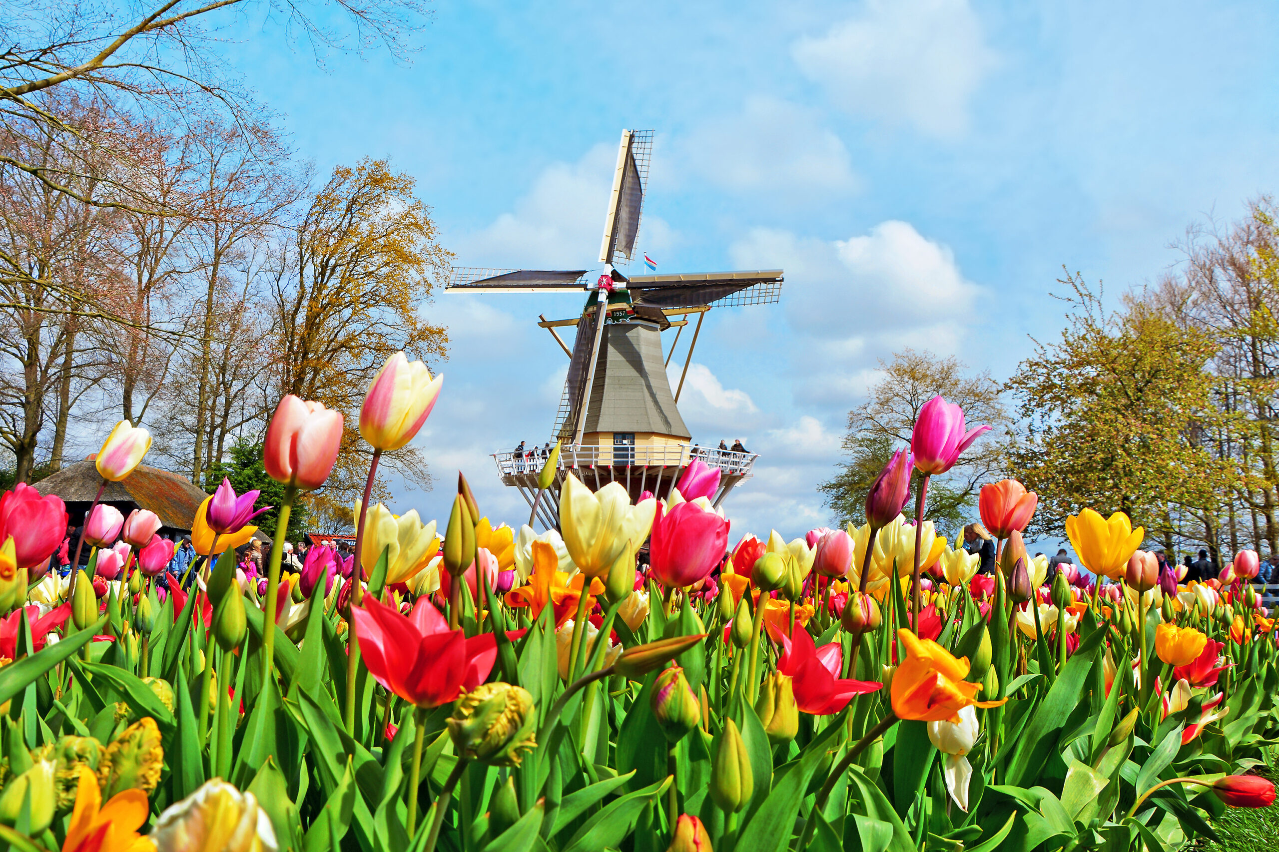 Visiting Keukenhof Tulip Gardens, Holland, Netherlands