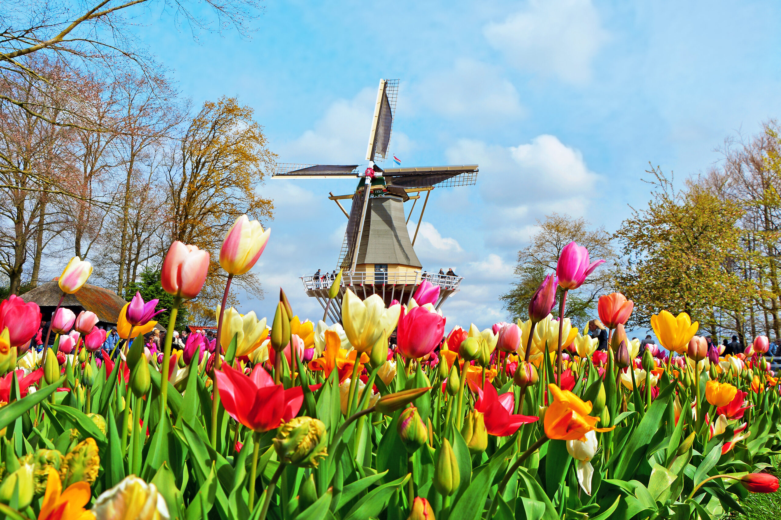 Keukenhof Tulip Gardens Photos Fasci Garden
