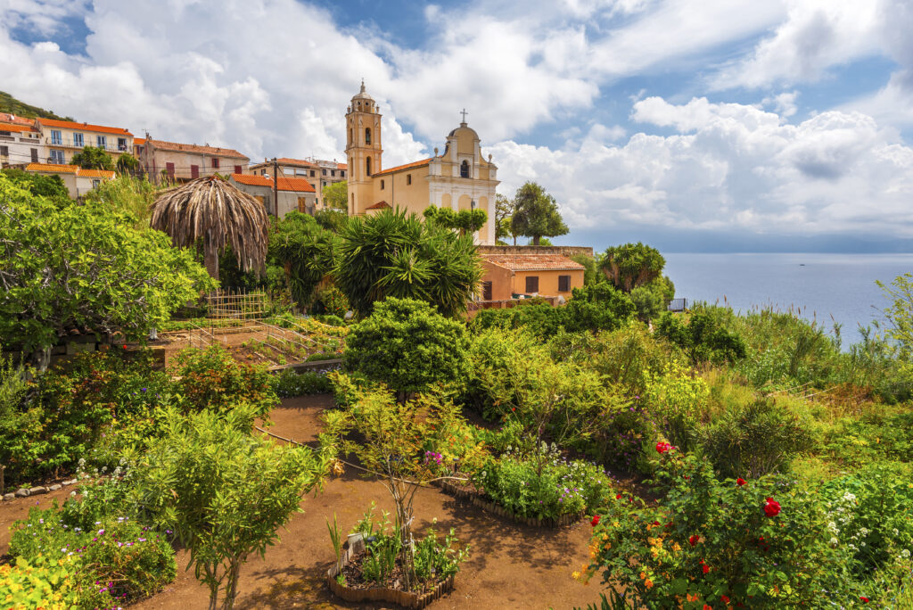 travel in corsica without a car