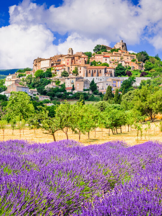 Summer in France