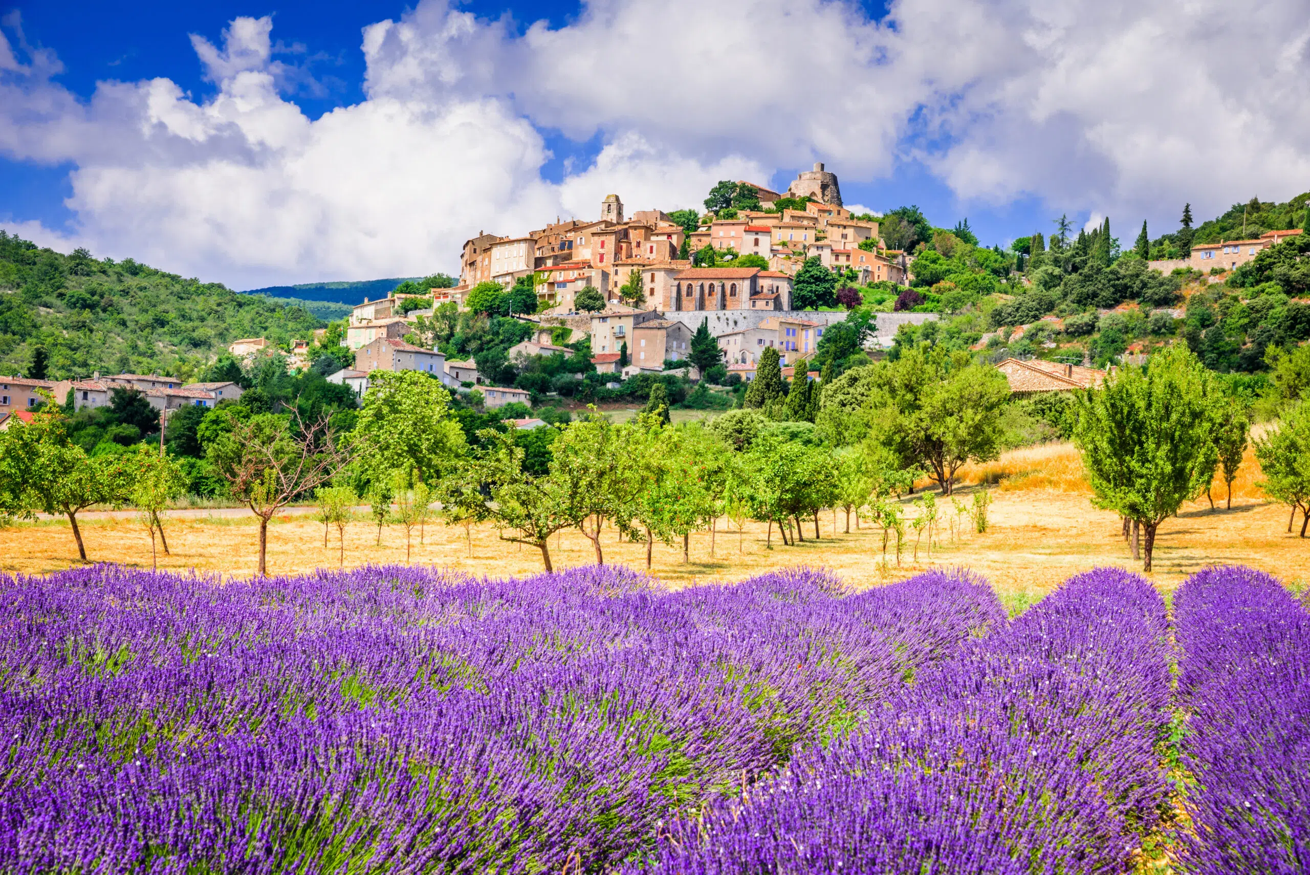 Summer in France