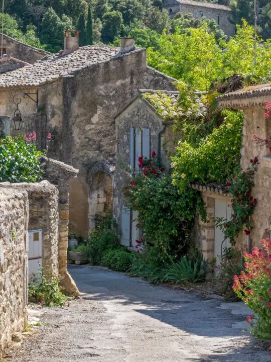 Movies set in Provence