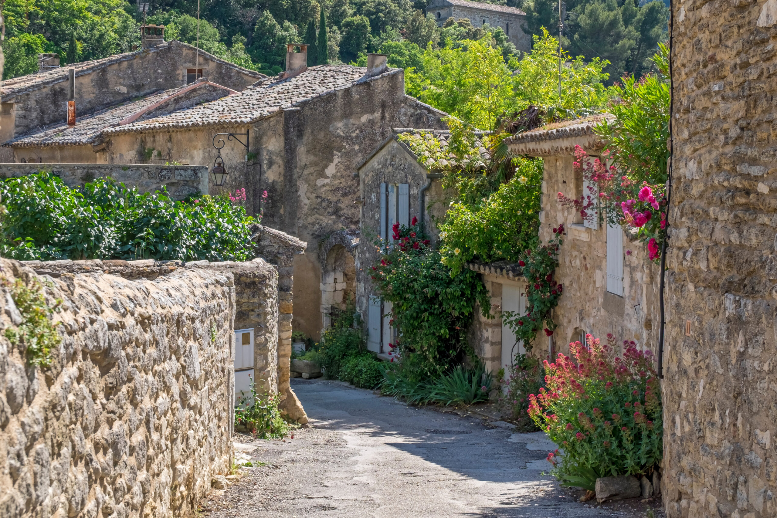 Movies set in Provence