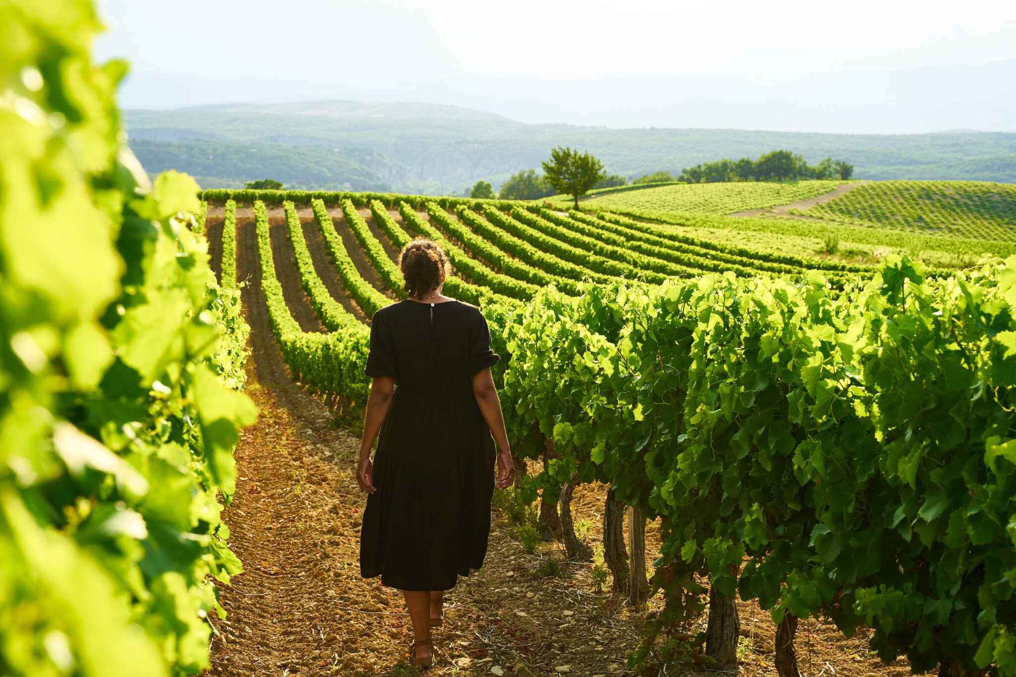 Domaine de Trévallon's traditional wine cellar