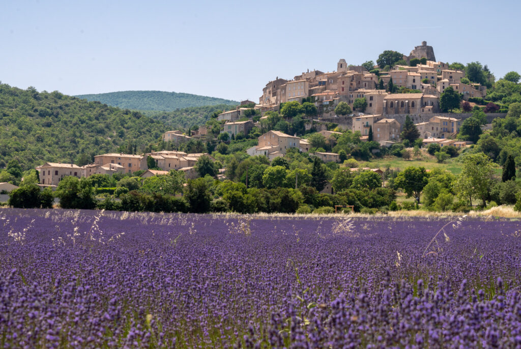 best time to visit lavender fields in provence