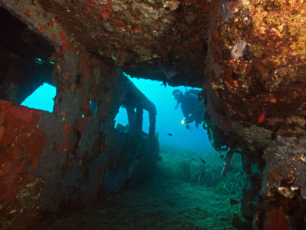 tour isola d'elba