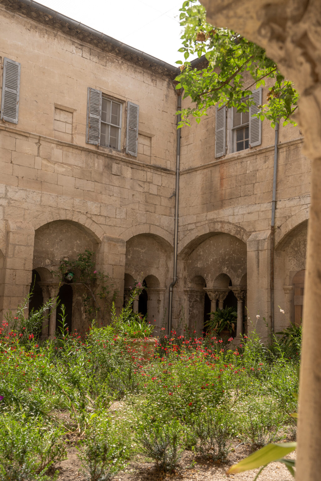 Guide to Saint-Rémy-de-Provence, France - Le Long Weekend