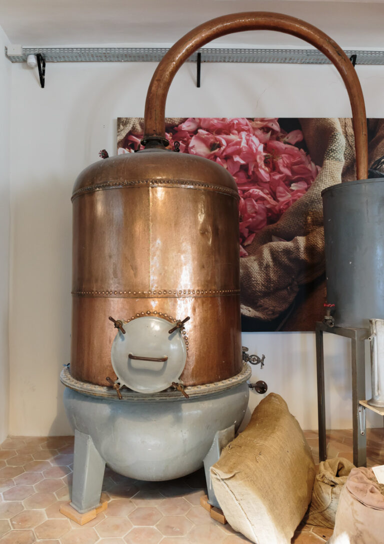 Discover Grasse, France | The World's Perfume Capital - Le Long Weekend