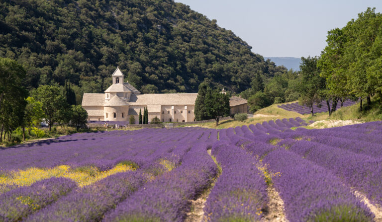 From Lavender Fields to Hilltop Villages – These Are the Best Views in Provence