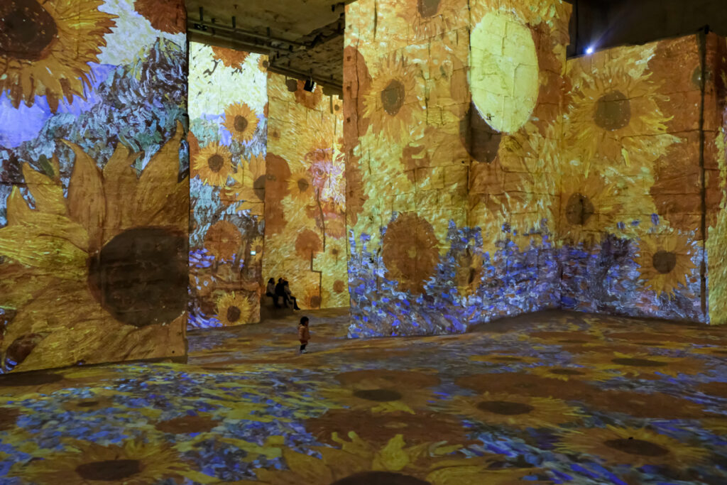 Van Gogh in Les Baux de Provence